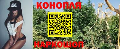 хмурый Гай