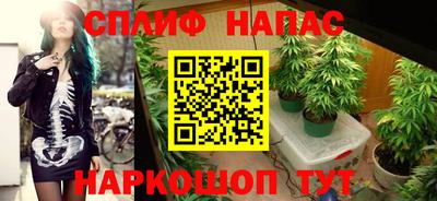 бошки Гатчина