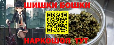 бошки Гатчина