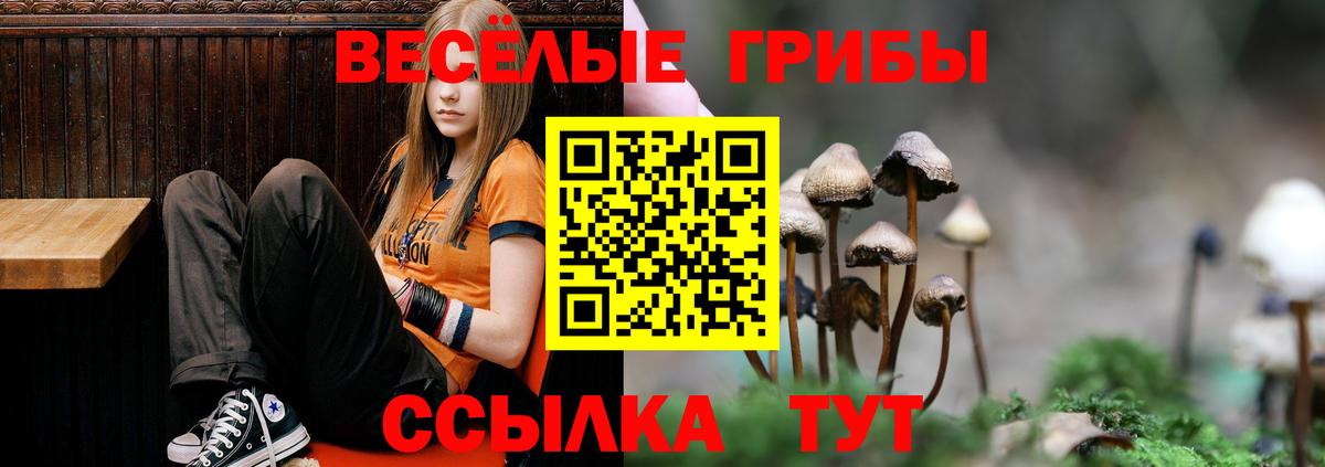 Мурманск  Псилоцибиновые грибы Magic Shrooms  купить закладку  Вход с VPN 